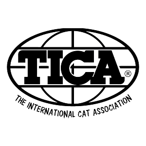 Manufacturing_0000_tica